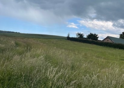 działka na sprzedaż - Biesiekierz, Stare Bielice